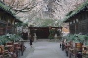 爱在心口难开，如何真正喜欢上一个人