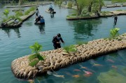 河蚌养殖如何有效避免钩介虫侵扰？实用防治指南