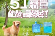 狗狗脱水危害大？5个实用方法让毛孩子远离脱水风险！