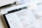 苹果平板中文设置全解析