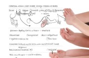 如何科学预防胎儿脐带绕颈？关键措施与注意事项