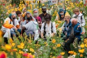 避免花粉采集误区，掌握这些技巧，让采集更高效、更安全
