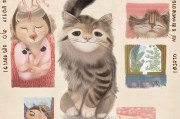 猫咪贴贴指南，如何与毛孩子建立亲密关系