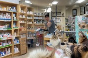 宠物店猫癣防控全攻略，从源头到日常，守护猫咪健康