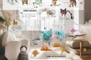 如何有效避免人感染猫藓？实用防护指南